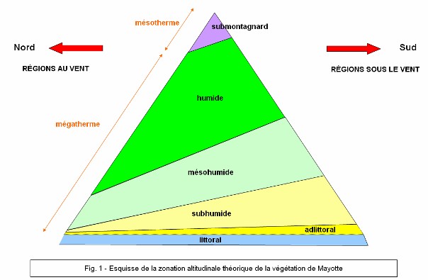 Doc 1 Etagement vegetation Mayotte